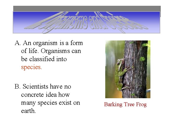 A. An organism is a form of life. Organisms can be classified into species.
