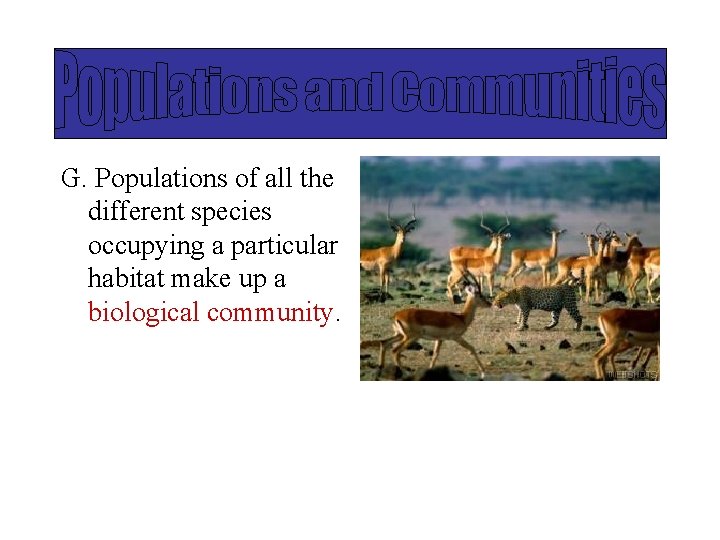 G. Populations of all the different species occupying a particular habitat make up a