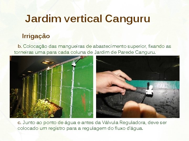 Jardim vertical Canguru Irrigação b. Colocação das mangueiras de abastecimento superior, fixando as torneiras