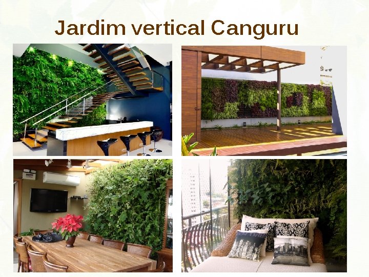 Jardim vertical Canguru 