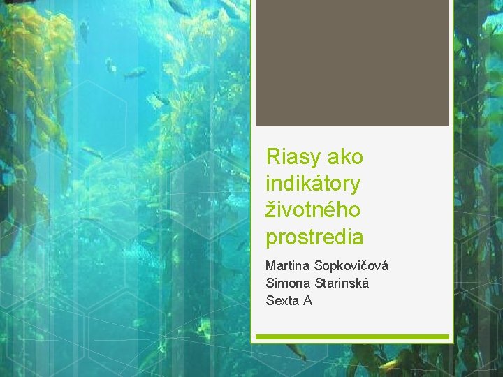 Riasy ako indikátory životného prostredia Martina Sopkovičová Simona Starinská Sexta A 