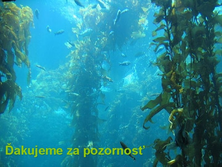 Ďakujeme za pozornosť 