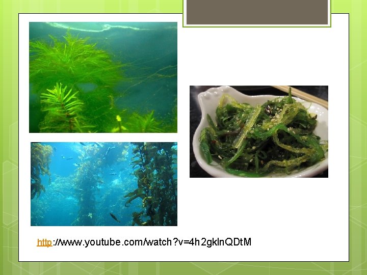 http: //www. youtube. com/watch? v=4 h 2 gkln. QDt. M 