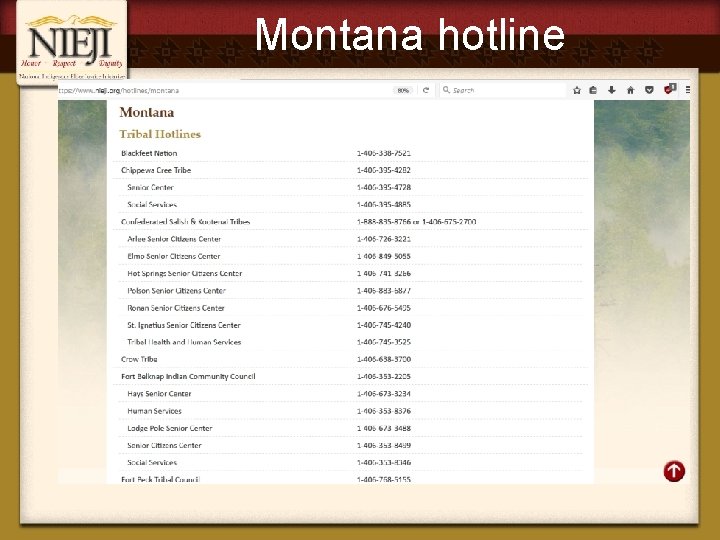 Montana hotline 