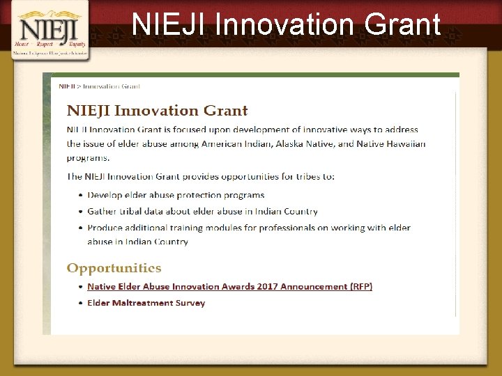 NIEJI Innovation Grant 