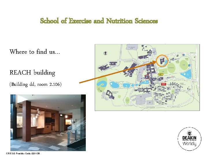 School of Exercise and Nutrition Sciences Where to find us… REACH building (Building dd,