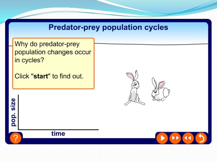 Predator-prey cycles 