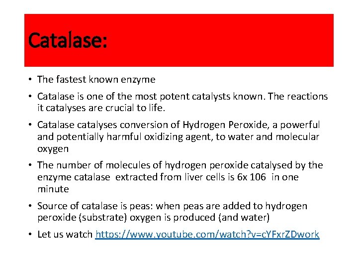 Catalase: • The fastest known enzyme • Catalase is one of the most potent