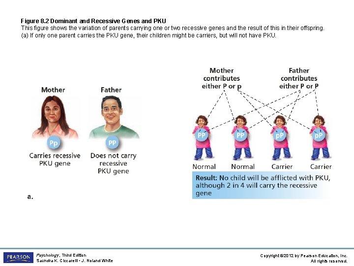 Figure 8. 2 Dominant and Recessive Genes and PKU This figure shows the variation