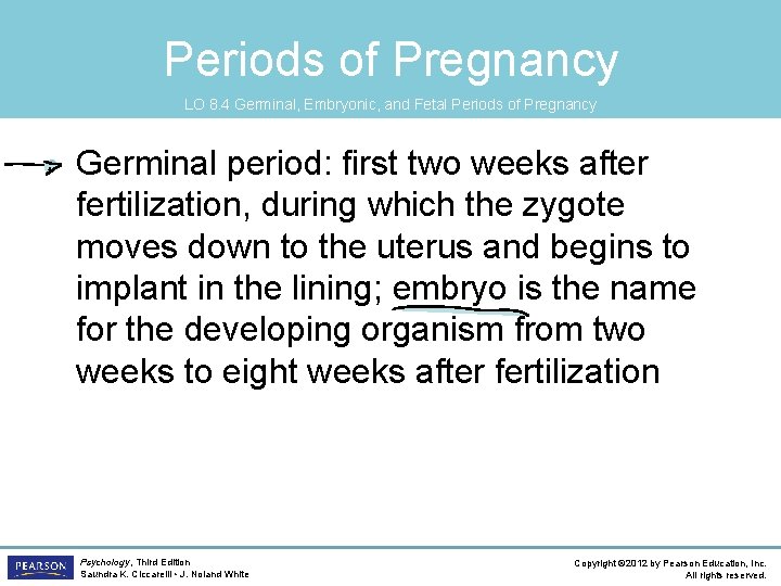 Periods of Pregnancy LO 8. 4 Germinal, Embryonic, and Fetal Periods of Pregnancy •