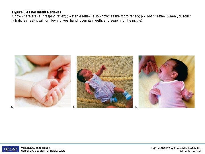 Figure 8. 4 Five Infant Reflexes Shown here are (a) grasping reflex; (b) startle