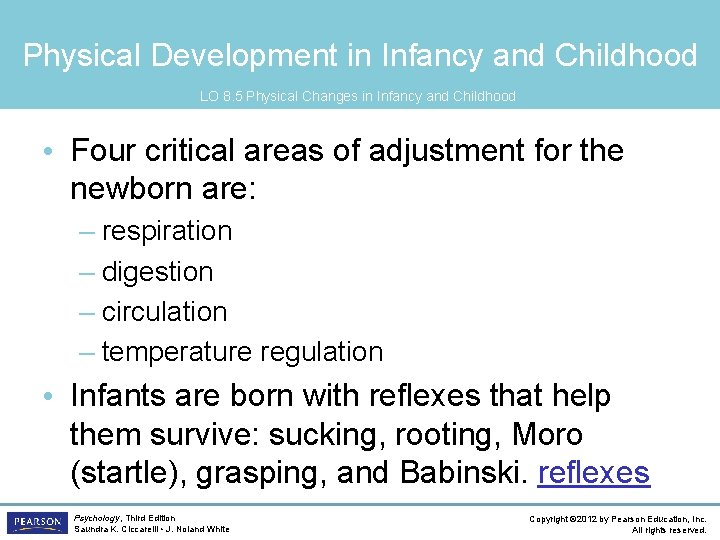 Physical Development in Infancy and Childhood LO 8. 5 Physical Changes in Infancy and