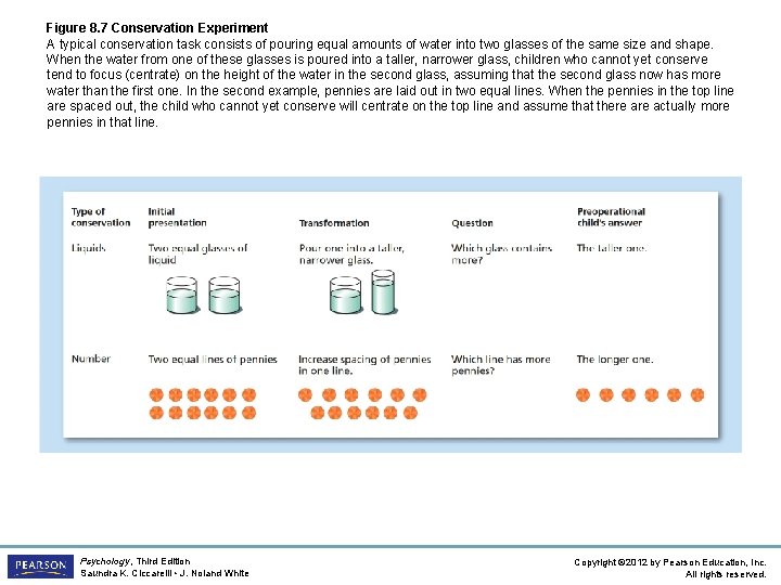 Figure 8. 7 Conservation Experiment A typical conservation task consists of pouring equal amounts