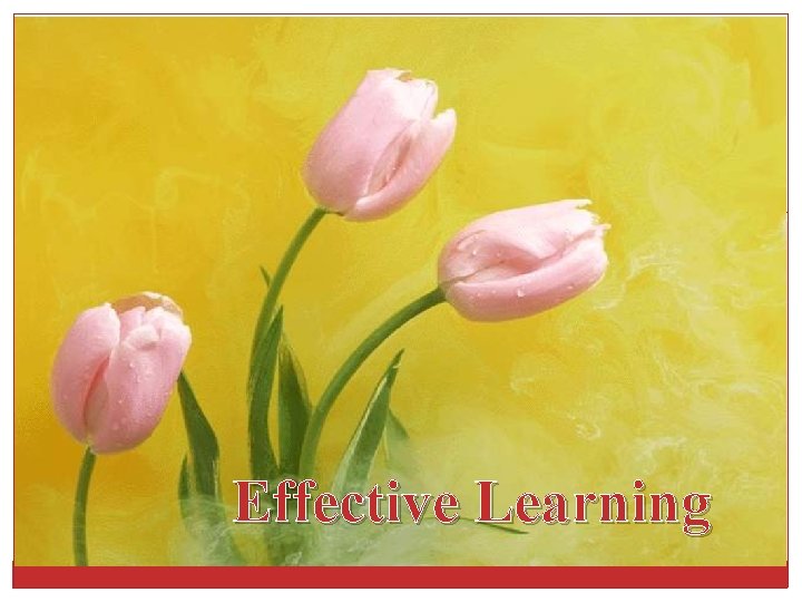 Effective Learning 
