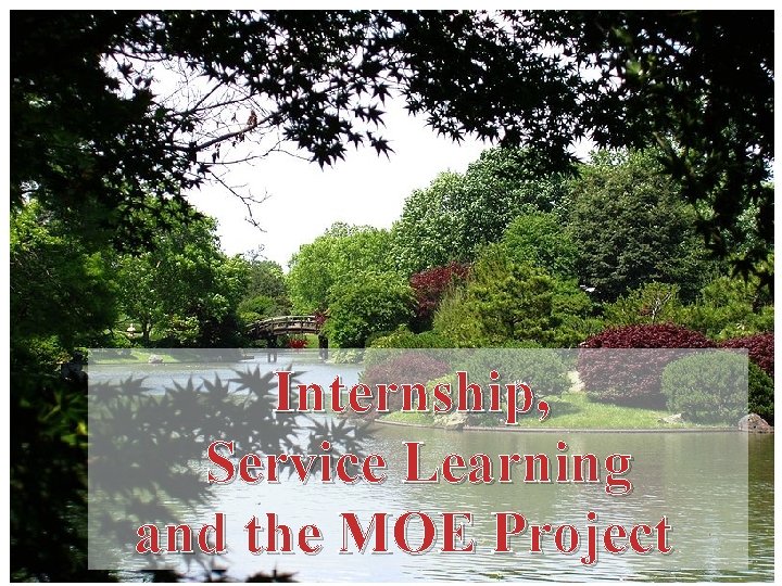 Internship, Service Learning and the MOE Project 