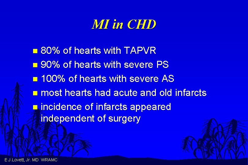 MI in CHD 80% of hearts with TAPVR n 90% of hearts with severe