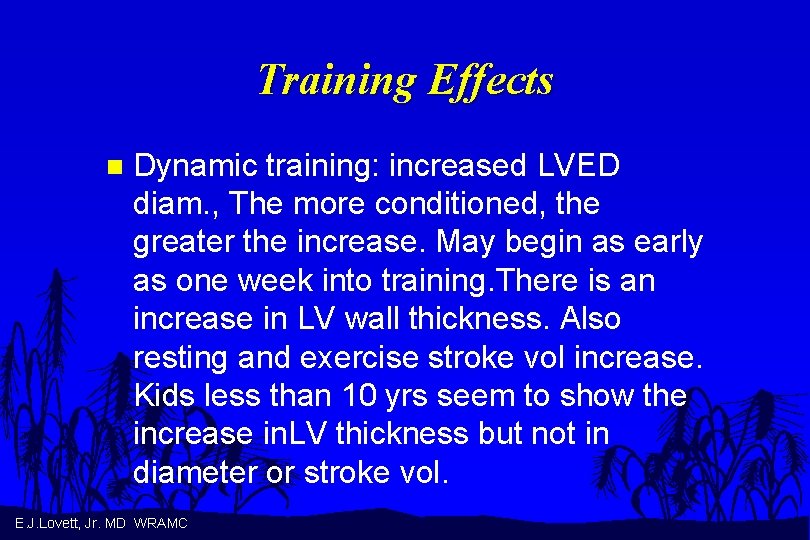 Training Effects n Dynamic training: increased LVED diam. , The more conditioned, the greater