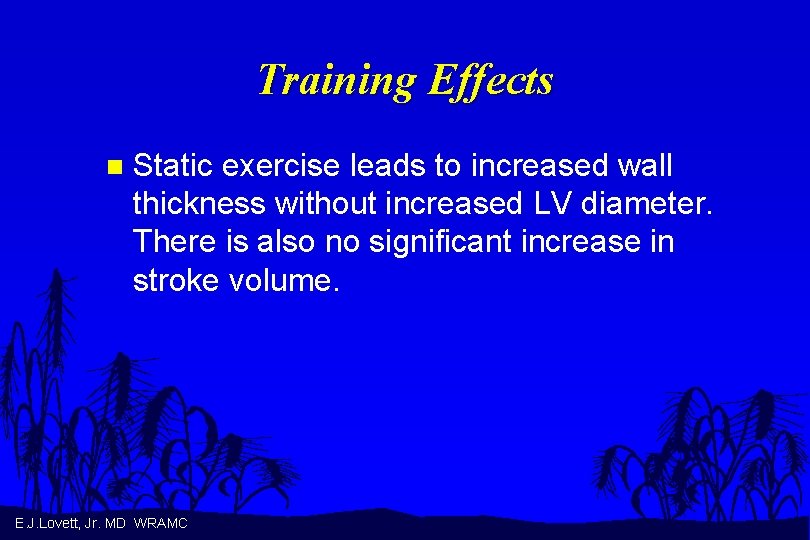 Training Effects n Static exercise leads to increased wall thickness without increased LV diameter.