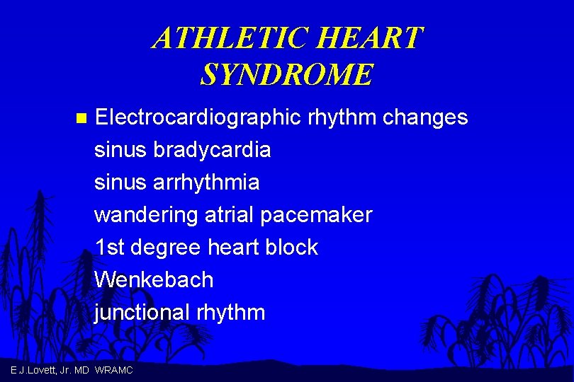 ATHLETIC HEART SYNDROME n Electrocardiographic rhythm changes sinus bradycardia sinus arrhythmia wandering atrial pacemaker