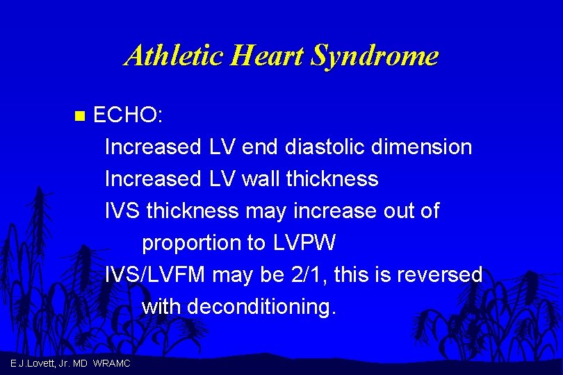 Athletic Heart Syndrome n ECHO: Increased LV end diastolic dimension Increased LV wall thickness