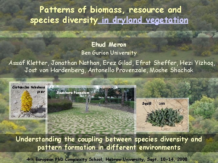 Patterns of biomass, resource and species diversity in dryland vegetation Ehud Meron Ben Gurion