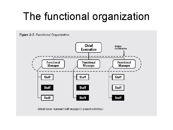 The functional organization 