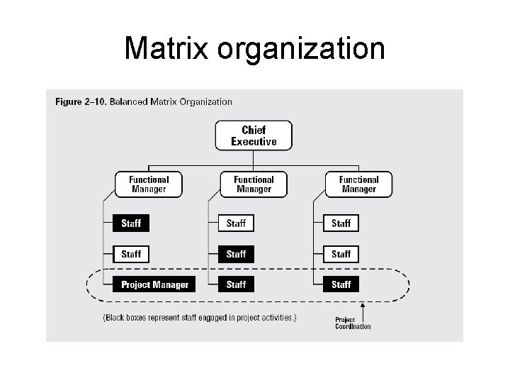 Matrix organization 