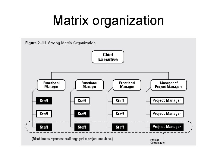 Matrix organization 