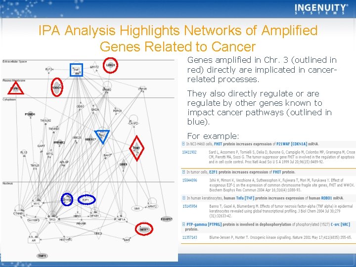 IPA Analysis Highlights Networks of Amplified Genes Related to Cancer Genes amplified in Chr.