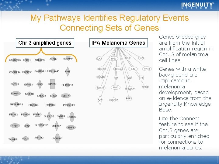 My Pathways Identifies Regulatory Events Connecting Sets of Genes Chr. 3 amplified genes IPA