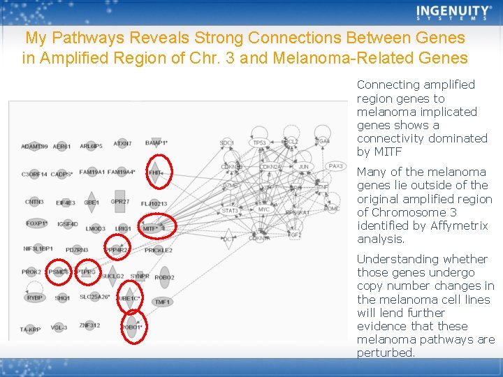 My Pathways Reveals Strong Connections Between Genes in Amplified Region of Chr. 3 and