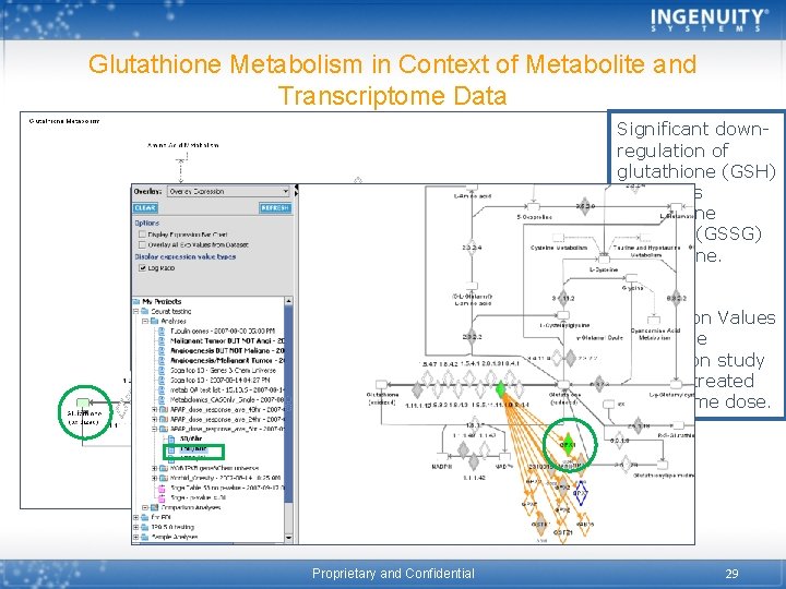 Glutathione Metabolism in Context of Metabolite and Transcriptome Data Significant downregulation of glutathione (GSH)