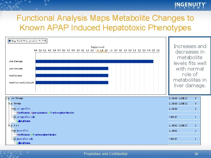 Functional Analysis Maps Metabolite Changes to Known APAP Induced Hepatotoxic Phenotypes Increases and decreases
