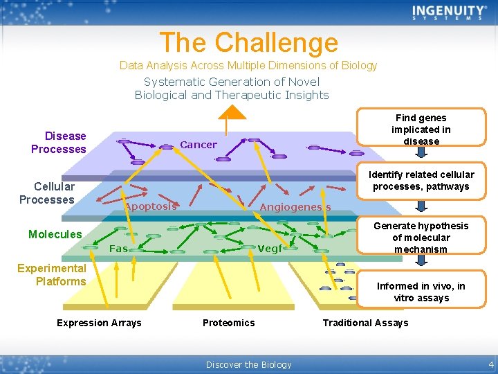 The Challenge Data Analysis Across Multiple Dimensions of Biology Systematic Generation of Novel Biological