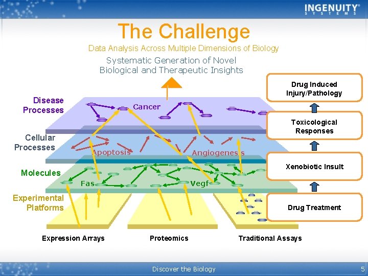 The Challenge Data Analysis Across Multiple Dimensions of Biology Systematic Generation of Novel Biological