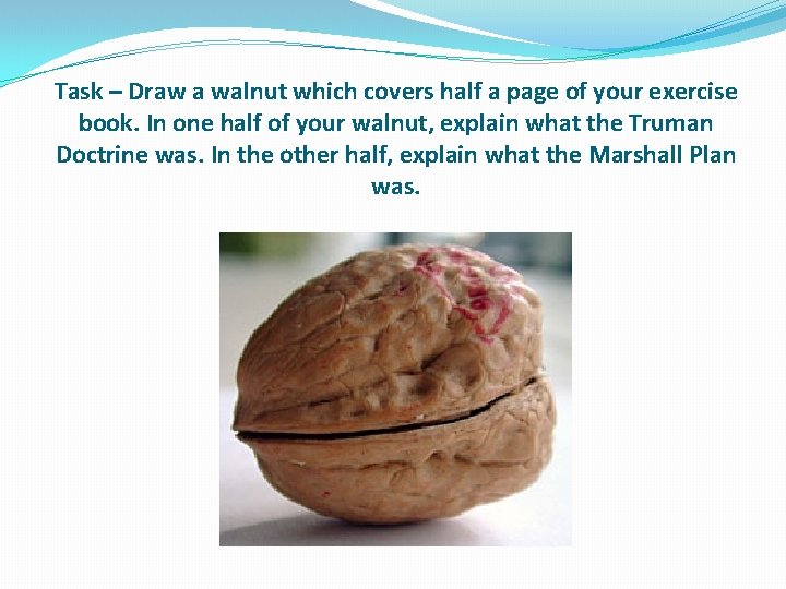 Task – Draw a walnut which covers half a page of your exercise book.