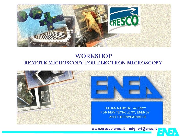 WORKSHOP REMOTE MICROSCOPY FOR ELECTRON MICROSCOPY ITALIAN NATIONAL AGENCY FOR NEW TECNOLOGY, ENERGY AND