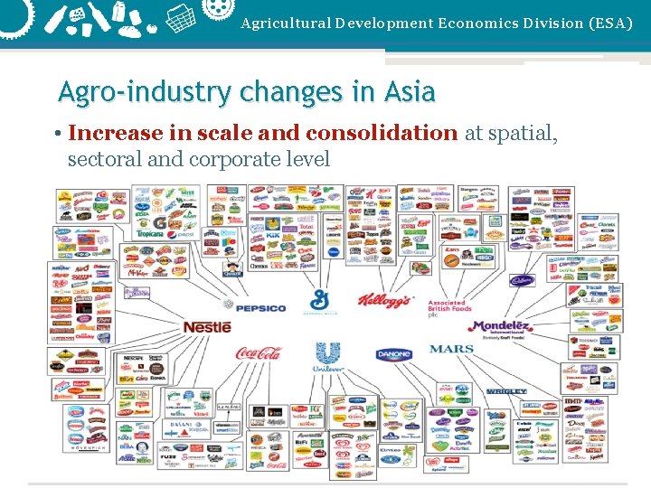 Agricultural Development Economics Division (ESA) Agro-industry changes in Asia • Increase in scale and