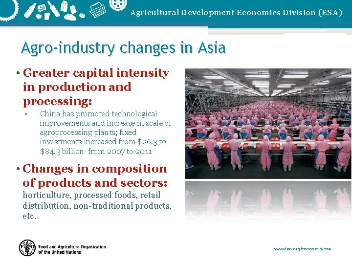 Agricultural Development Economics Division (ESA) Agro-industry changes in Asia • Greater capital intensity in