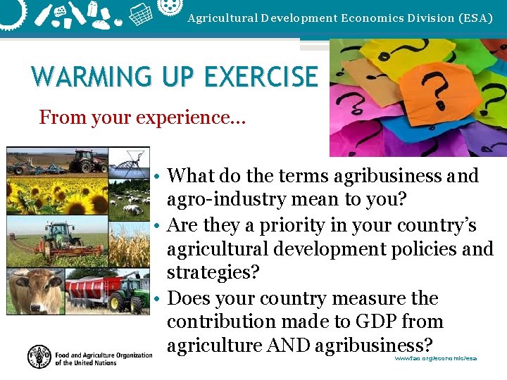 Agricultural Development Economics Division (ESA) WARMING UP EXERCISE From your experience… • What do