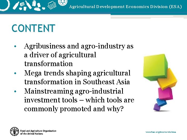 Agricultural Development Economics Division (ESA) CONTENT • • • Agribusiness and agro-industry as a