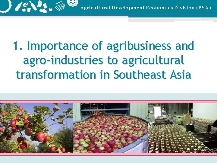 Agricultural Development Economics Division (ESA) 1. Importance of agribusiness and agro-industries to agricultural transformation