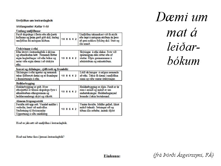 Dæmi um mat á leiðarbókum (frá Þórði Ásgeirssyni, FÁ) 