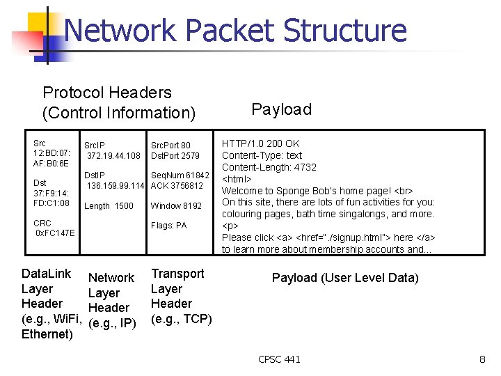 Network Packet Structure Protocol Headers (Control Information) Src 12: BD: 07: AF: B 0: Network Packet Structure Protocol Headers (Control Information) Src 12: BD: 07: AF: B 0: