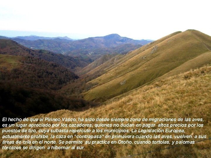El hecho de que el Pirineo Vasco, ha sido desde siempre zona de migraciones