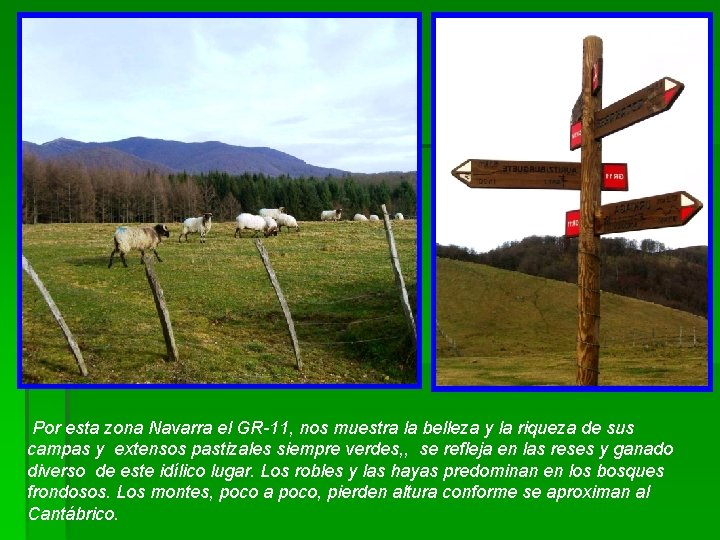 Por esta zona Navarra el GR-11, nos muestra la belleza y la riqueza de