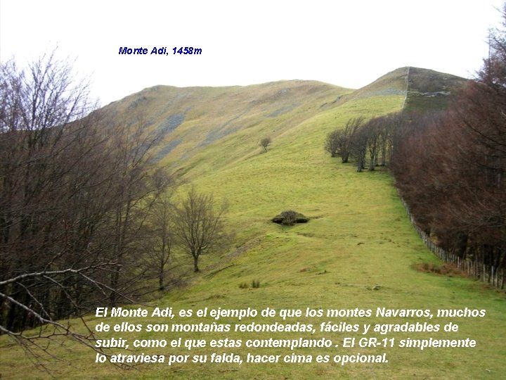 Monte Adi, 1458 m El Monte Adi, es el ejemplo de que los montes