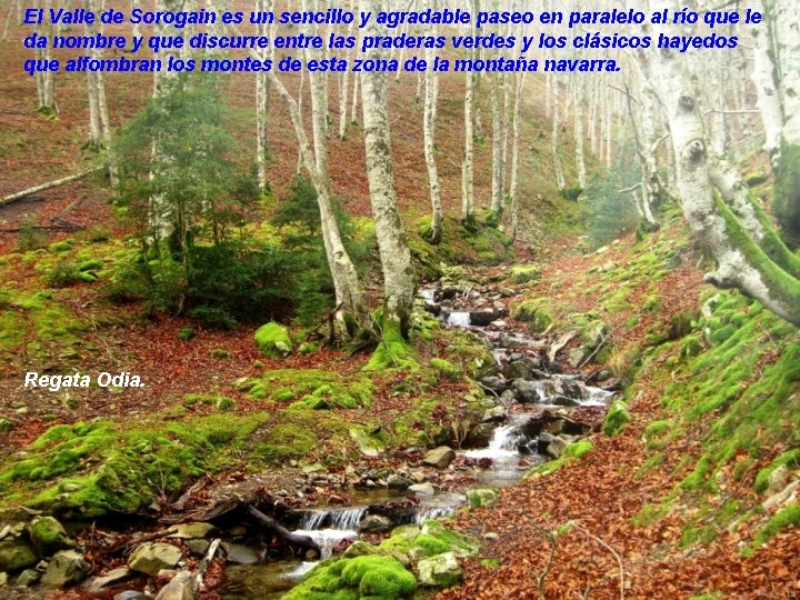 El Valle de Sorogain es un sencillo y agradable paseo en paralelo al río