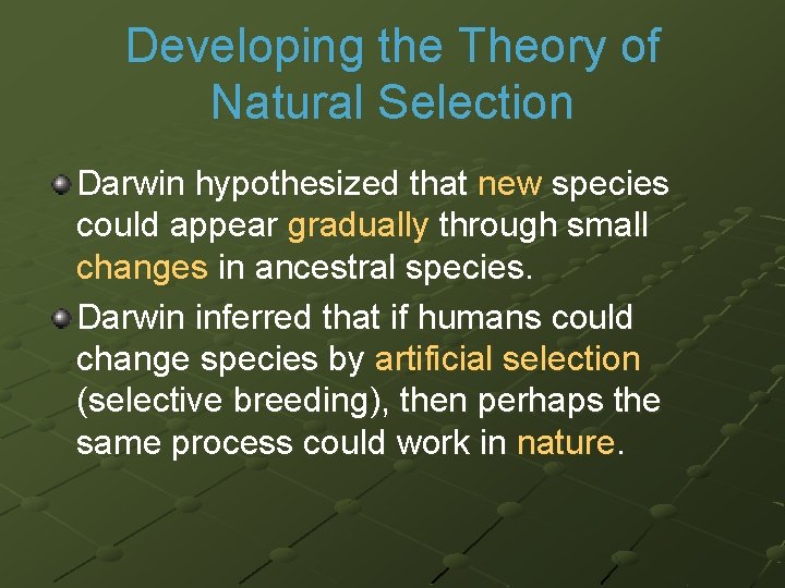 Developing the Theory of Natural Selection Darwin hypothesized that new species could appear gradually