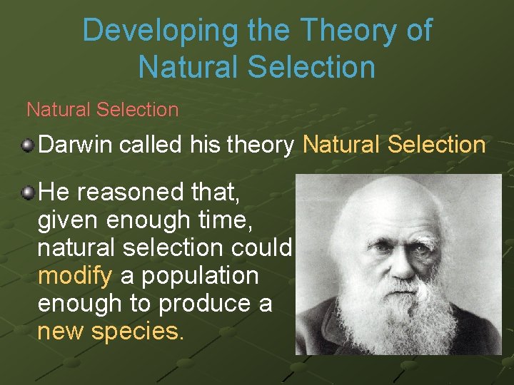 Developing the Theory of Natural Selection Darwin called his theory Natural Selection He reasoned